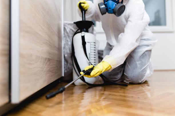 Best Wildlife Control Services  in Newton, MA