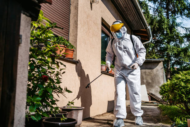 Trusted Newton, MA Pest Control Experts