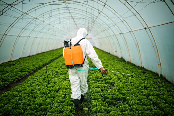 Best Pest Control for Businesses  in Newton, MA