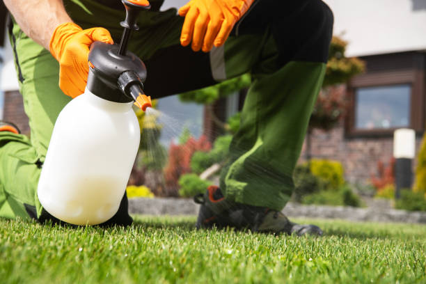 Best Ant Control Services  in Newton, MA