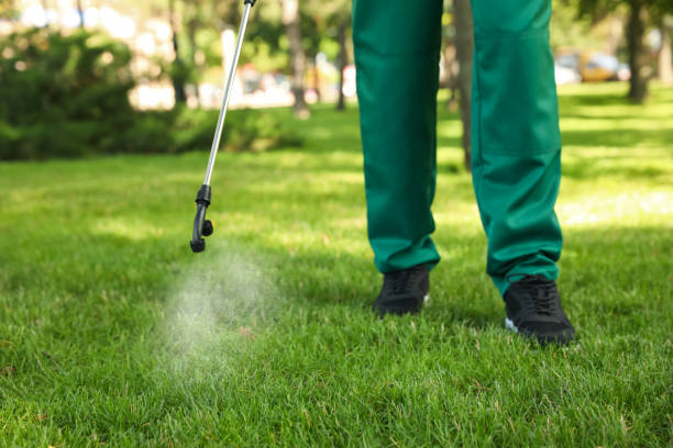 Best Residential Pest Control  in Newton, MA