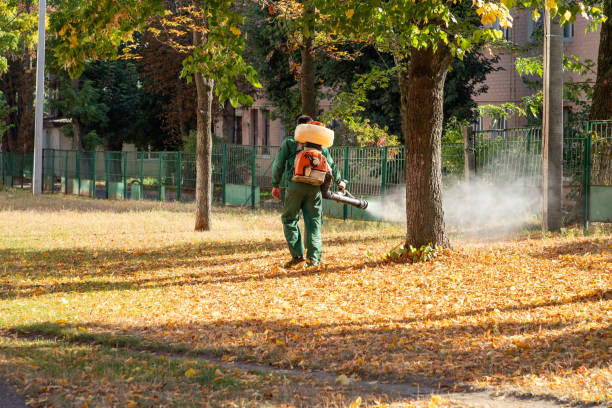 Best Spider Control Near Me  in Newton, MA