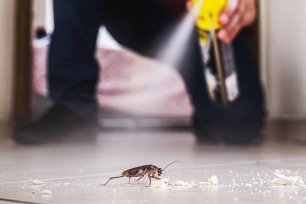 Best Affordable Pest Control Services  in Newton, MA