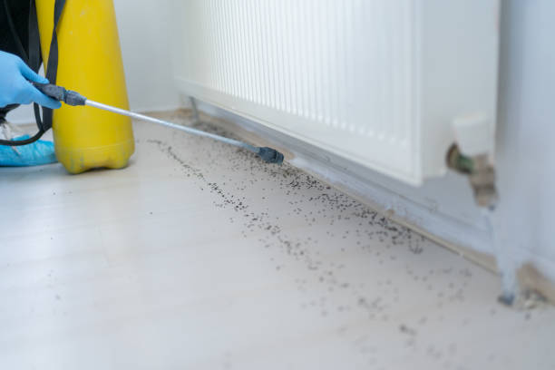 Best Pest Control Near Me  in Newton, MA