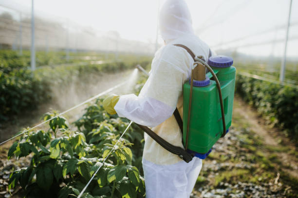 Best Mosquito Control Services  in Newton, MA